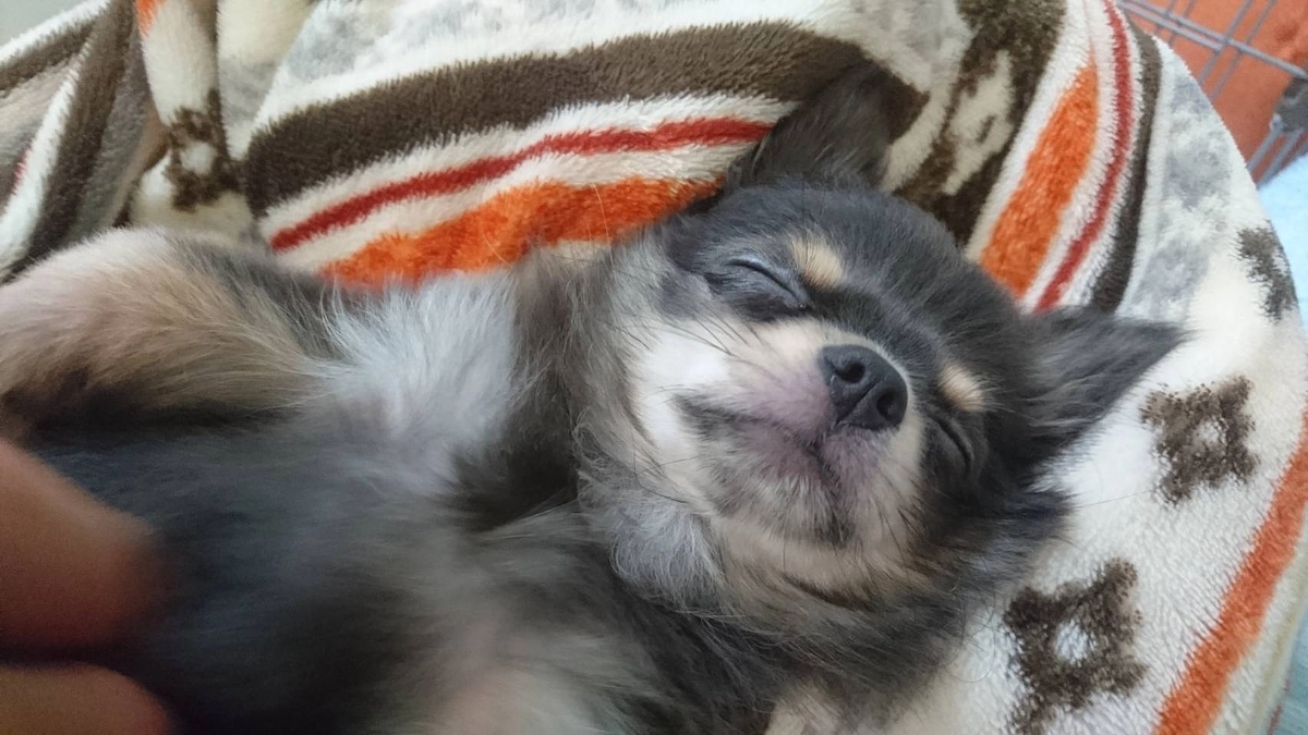 リターン1000円追加のお知らせ