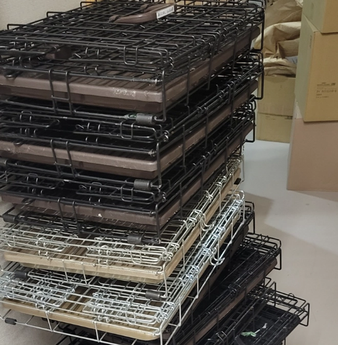 日々のささやかな活動〜捕獲器の洗浄消毒〜