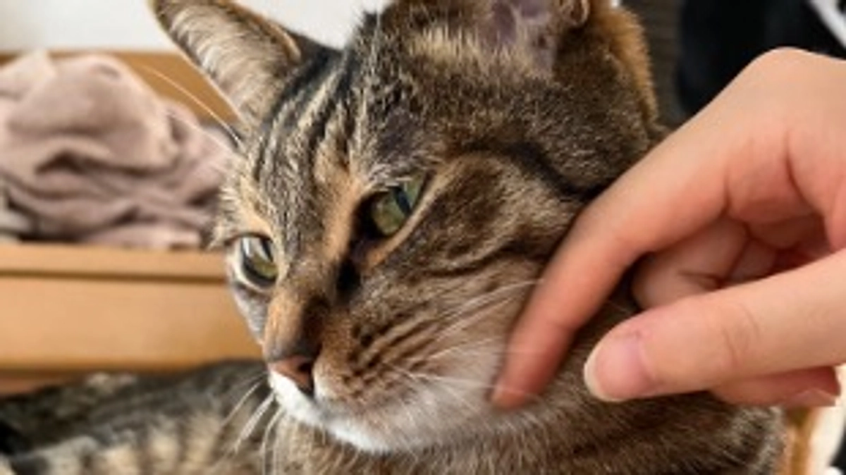 【今日のなっちゃん】6月18日