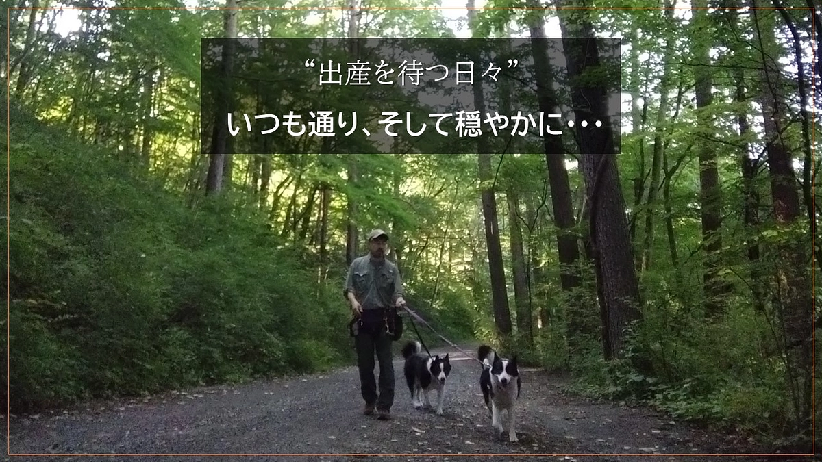 “出産を待つ日々”   いつも通り、そして穏やかに・・・