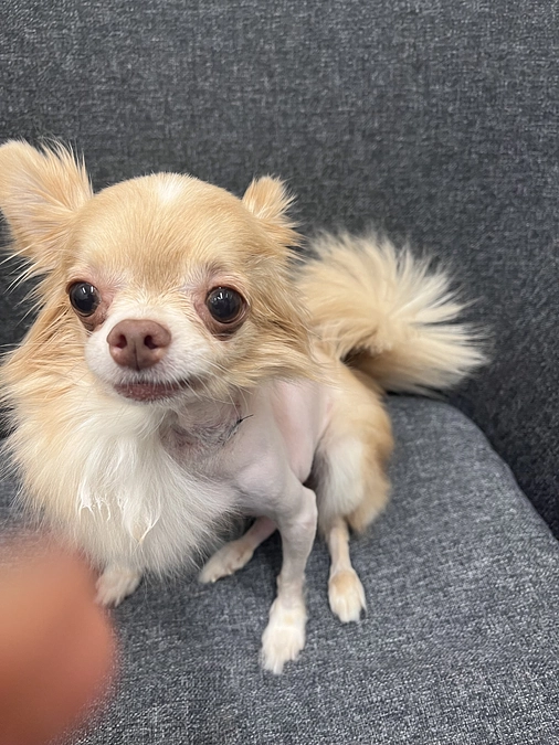 手術から1週間経ちました