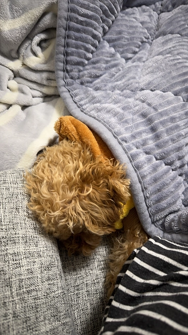 ご支援頂きありがとうございます。