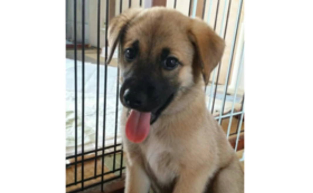 笑顔いっぱい！スマイルコース