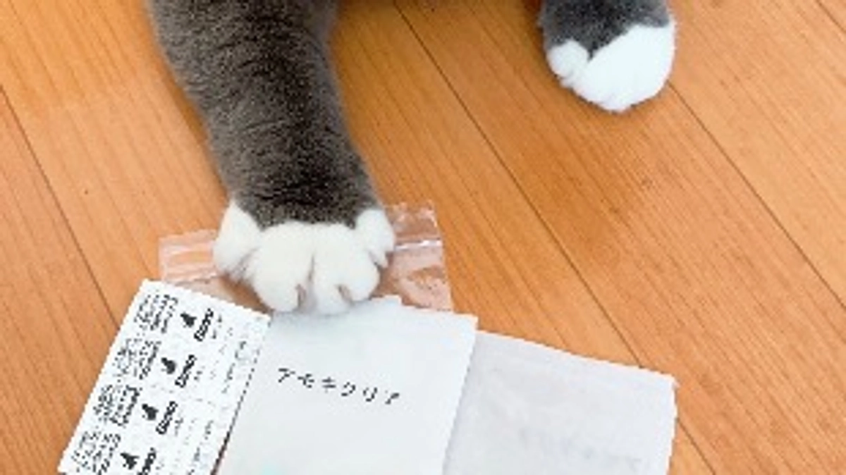 プルートのお薬コレクション