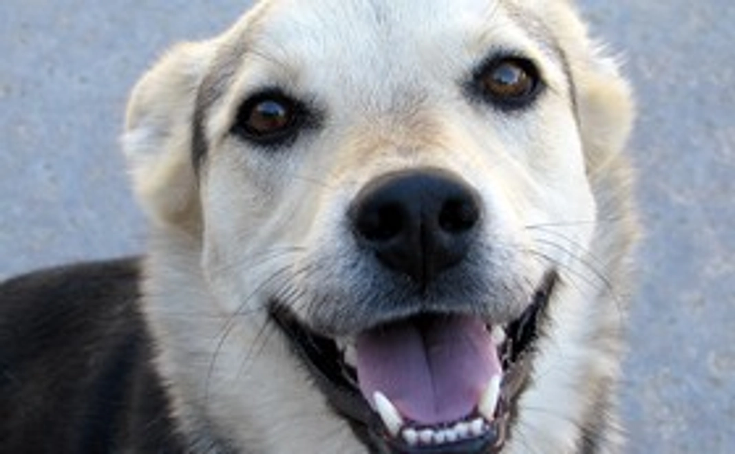 サイト内にお名前を掲載します！