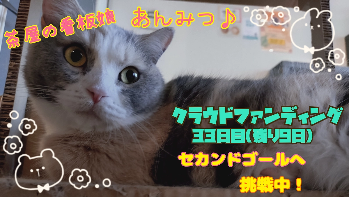 FIP(猫伝染性腹膜炎)って？