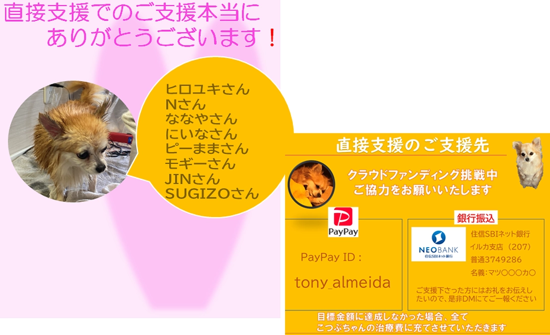 直接支援のお礼