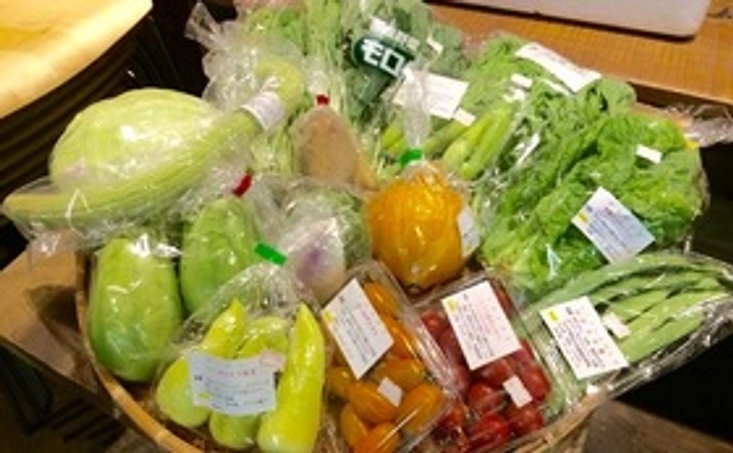 （遠方の方向け）兵庫県産野菜とレシピセット