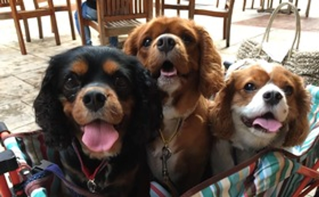 心よりの御礼２