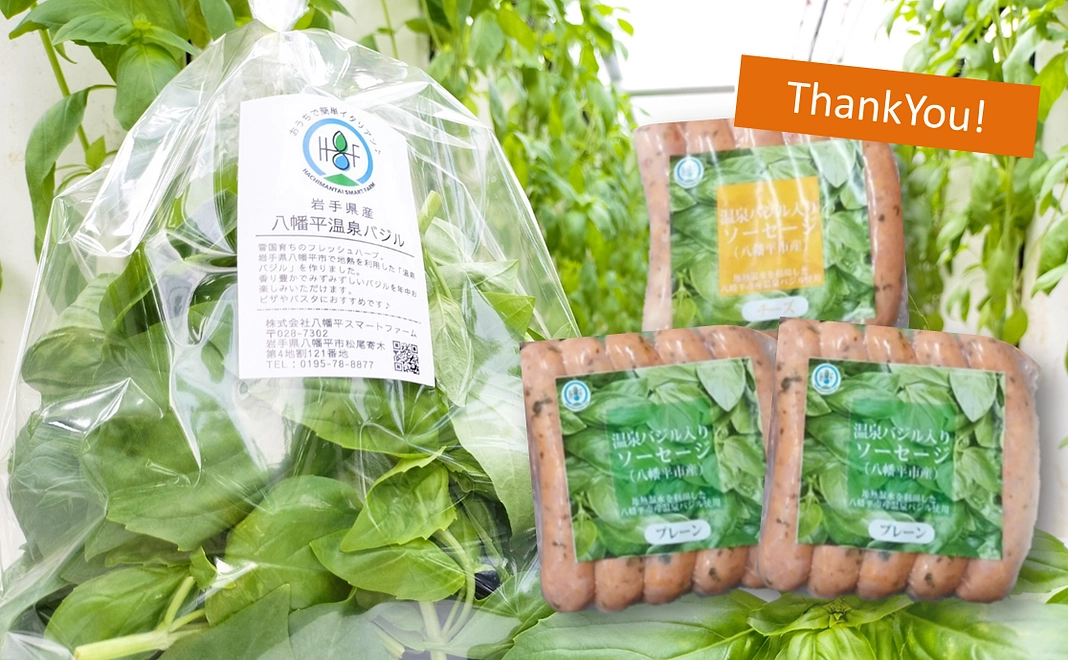 【八幡平スマートファーム産】温泉バジル＆温泉バジルソーセージ～満喫～コース