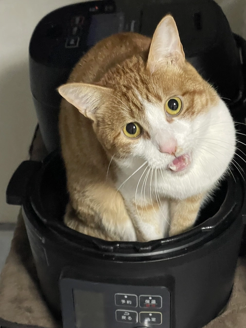 プロジェクト達成致しました！