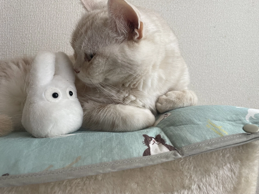 再診に行って来ました