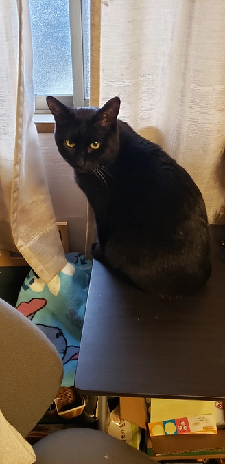 よく鳴きバタバタ