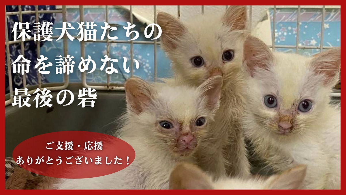 【代表からクラウドファンディング終了のご報告】ご支援・応援、本当にありがとうございました！