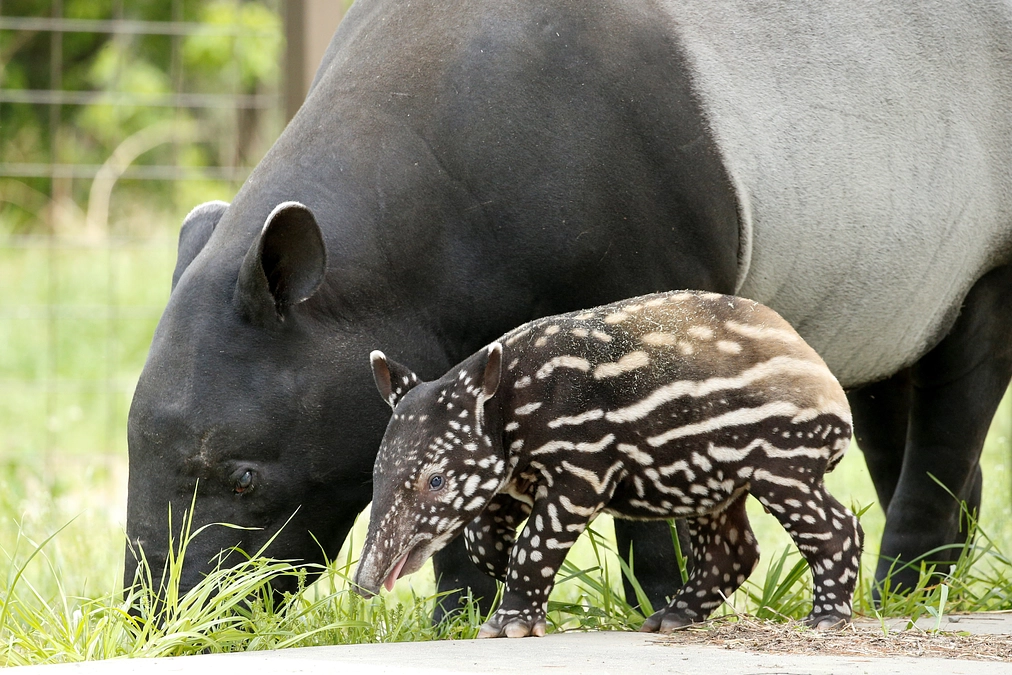 4月29日(月祝) 返礼品発送状況のご連絡 