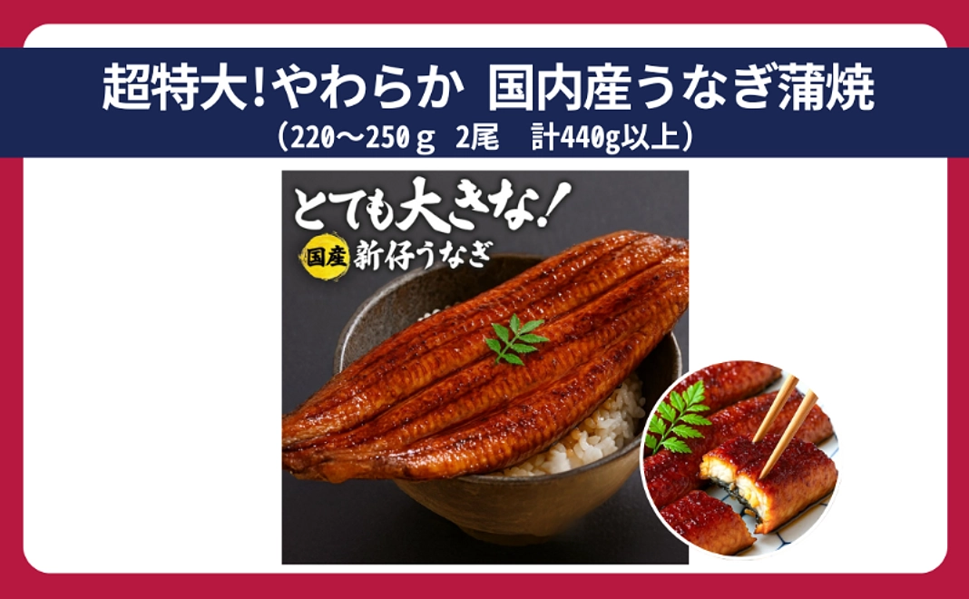 超特大!やわらか 国内産うなぎ蒲焼 220～250ｇ 2尾  計440g以上