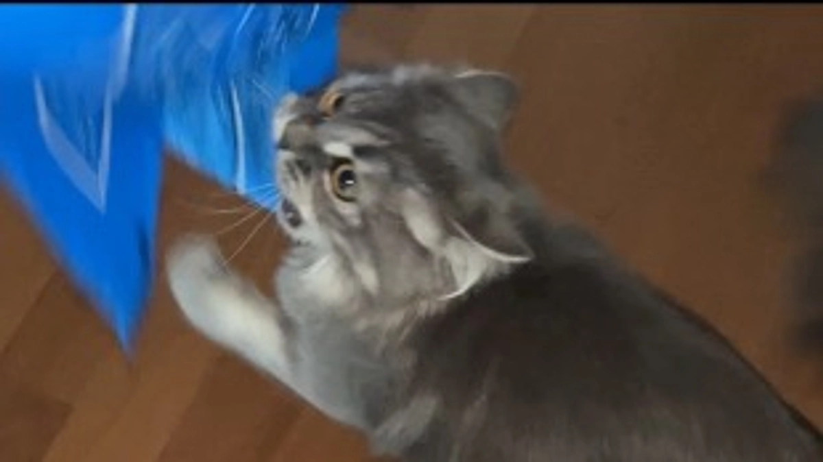 10/7  闘病41日目　また吐いちゃった