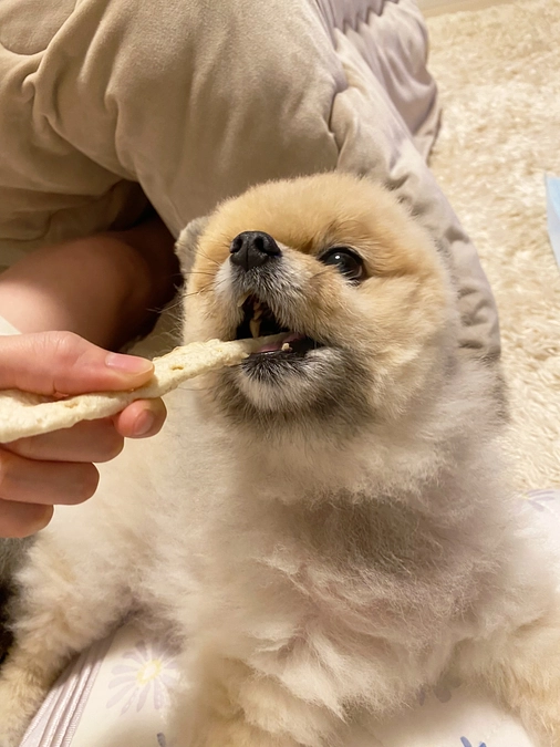 暑い日が続きますね