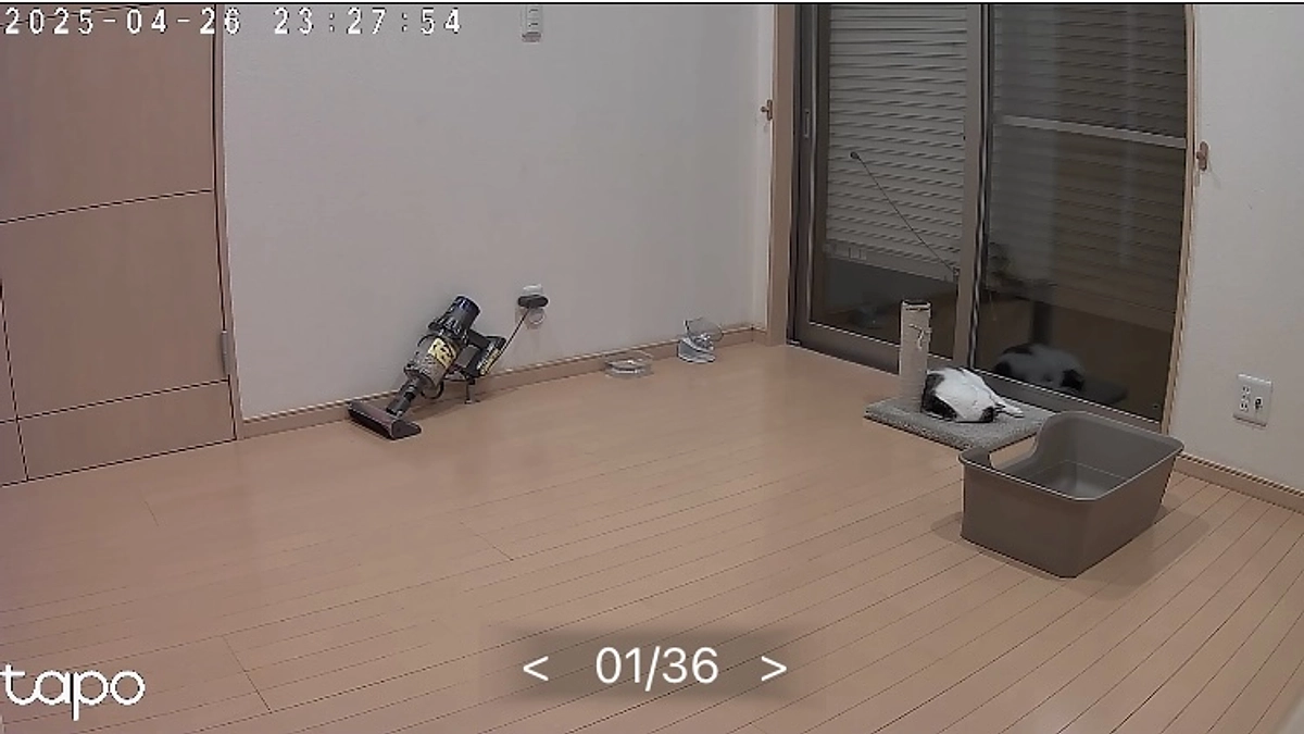 お掃除後の今…