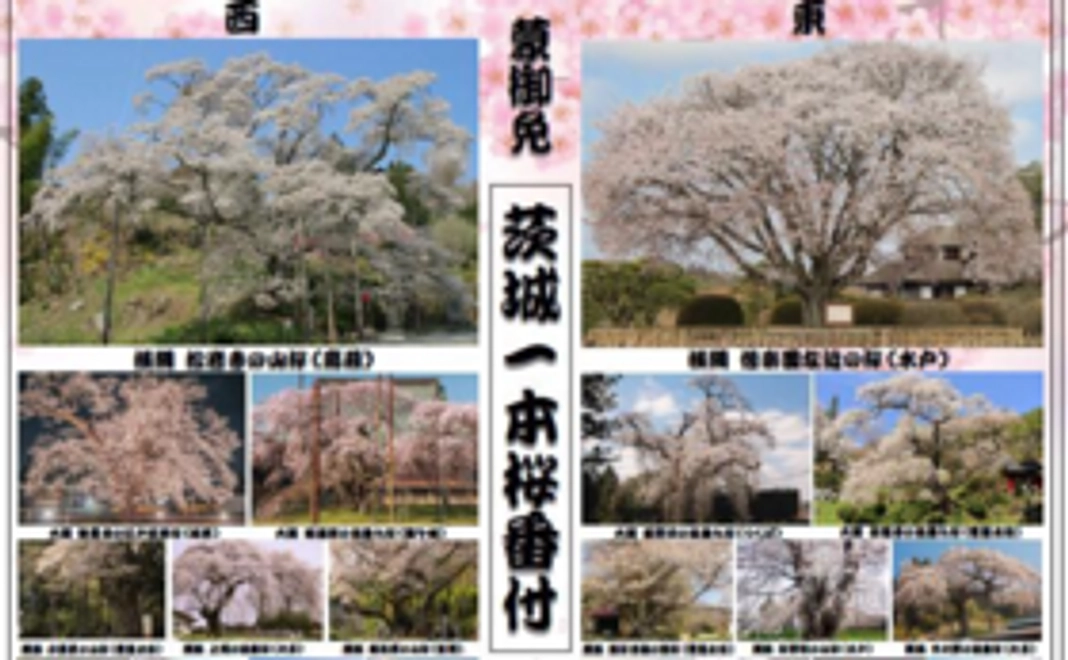 力をあわせて水戸桜川を復元しよう！