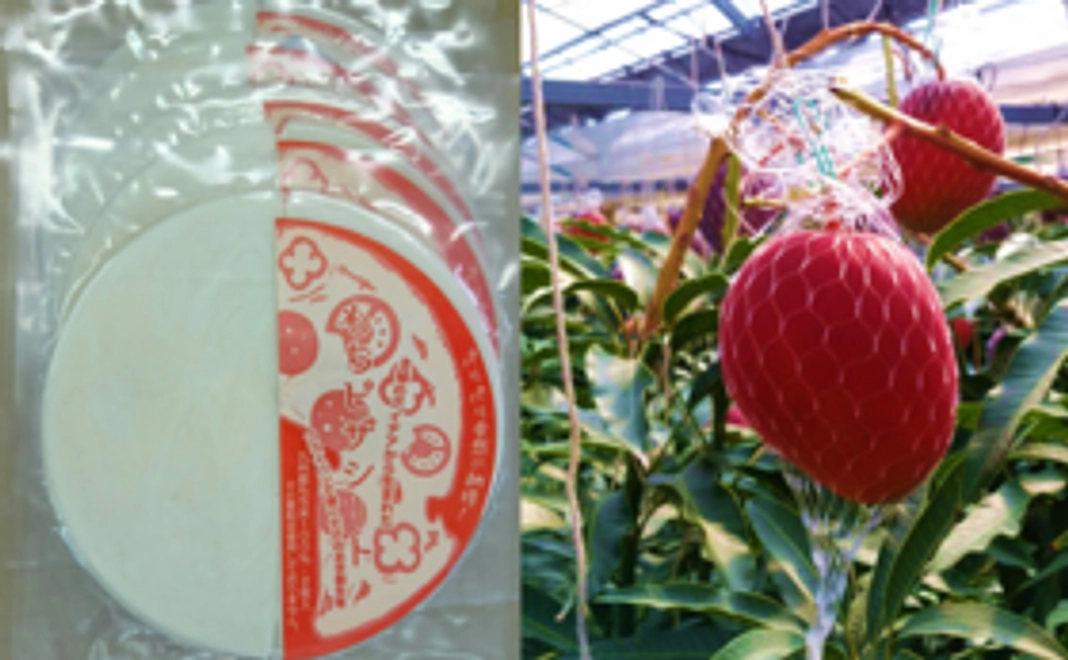 ②【限定100セット】もちピザシート2枚入り3セット+マンゴー1玉をお届け