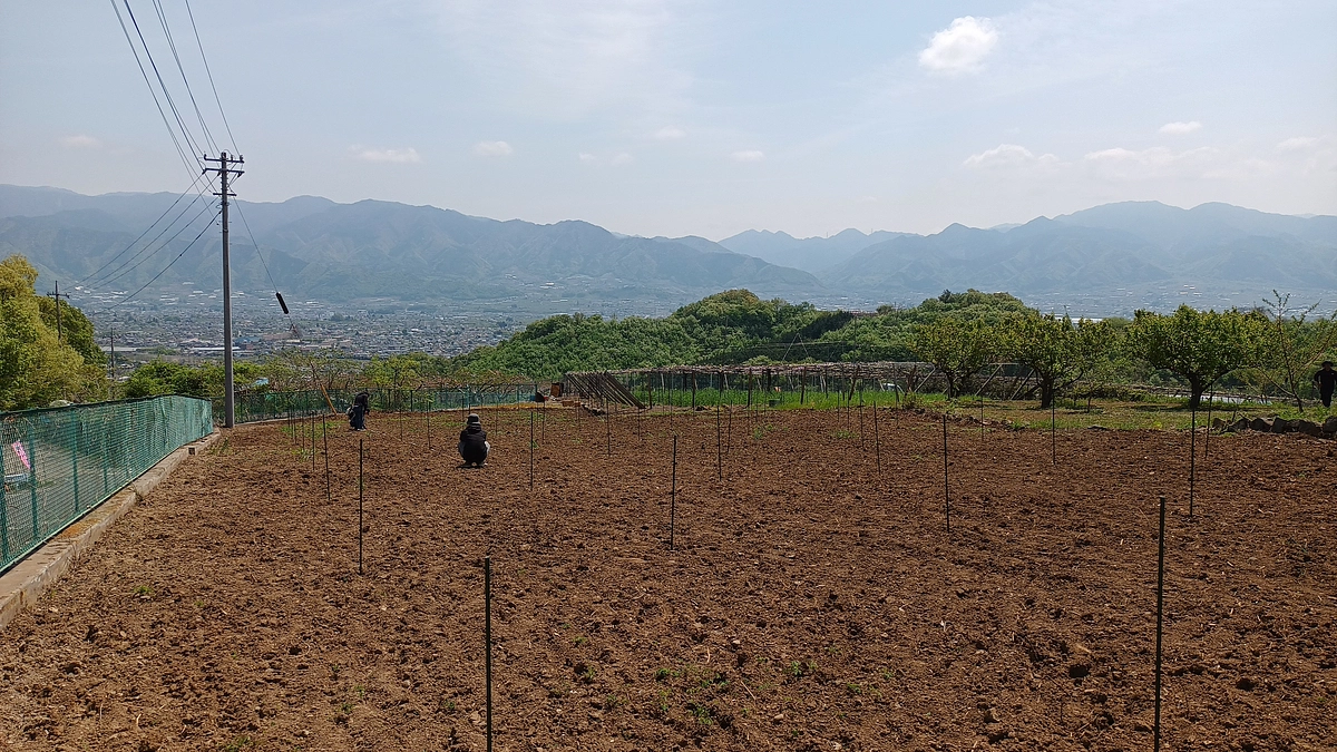 学生とともに標高480メートルの新圃場で測量を行いました