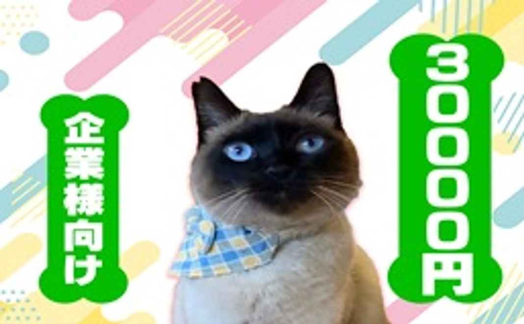 毎月30000円コース