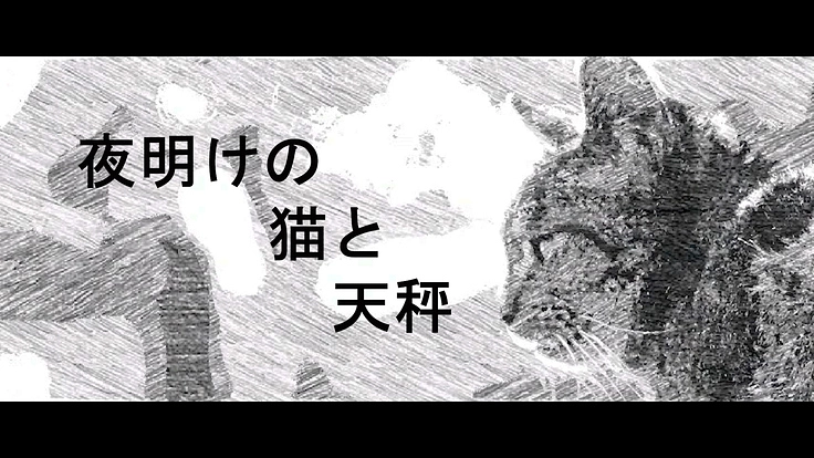 動物虐待動画への法規制実現に向けたドキュメンタリー映画を創りたい