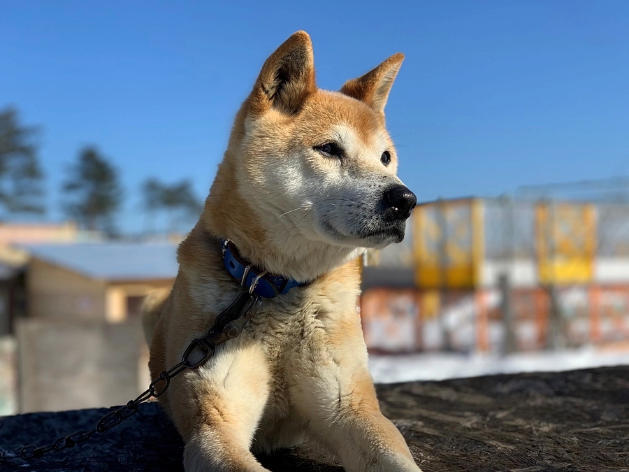 クラウドファンディングがスタートしました！