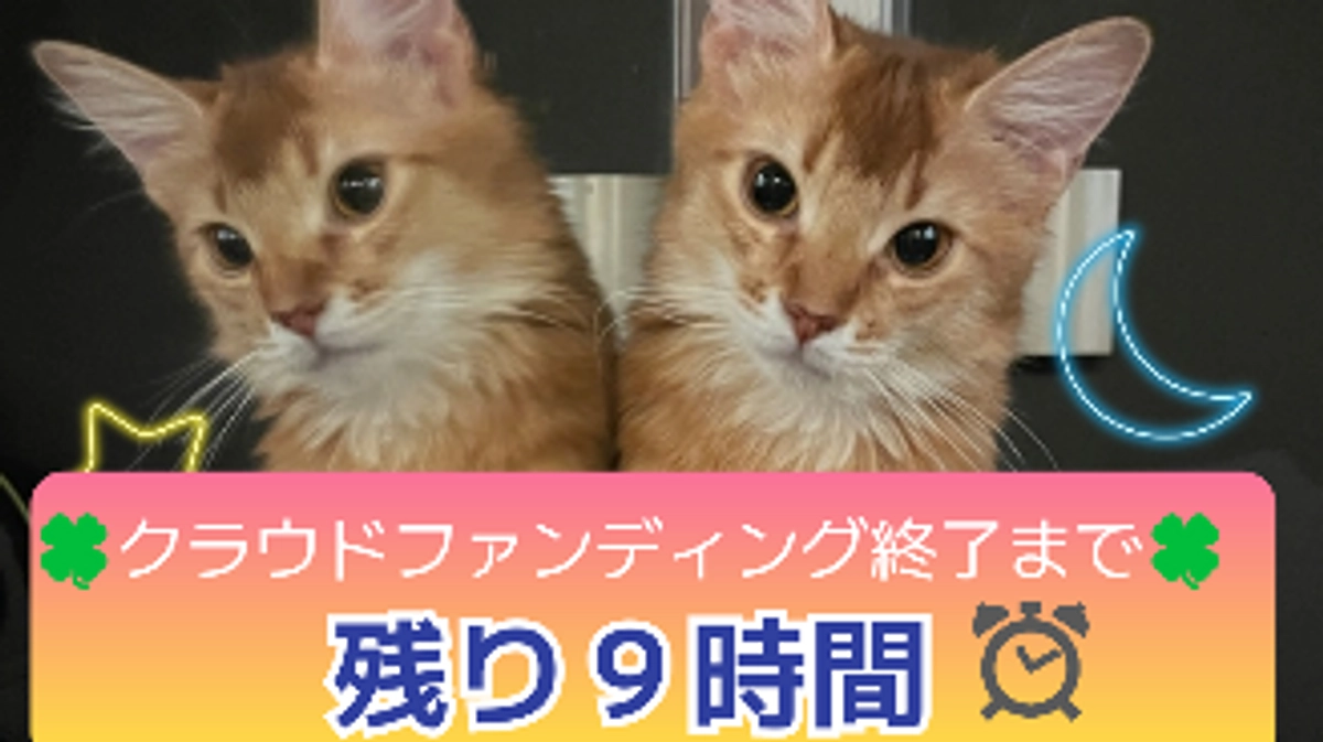 クラウドファンディング終了まで残り8時間となりました！