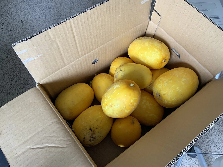 25日間限定の挑戦！9日目