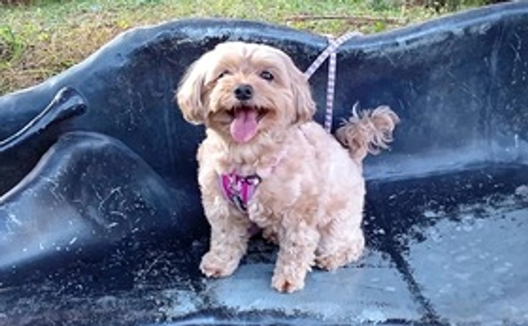 感謝の気持ちを込めて、お礼のメールをお送りさせていただきます。2