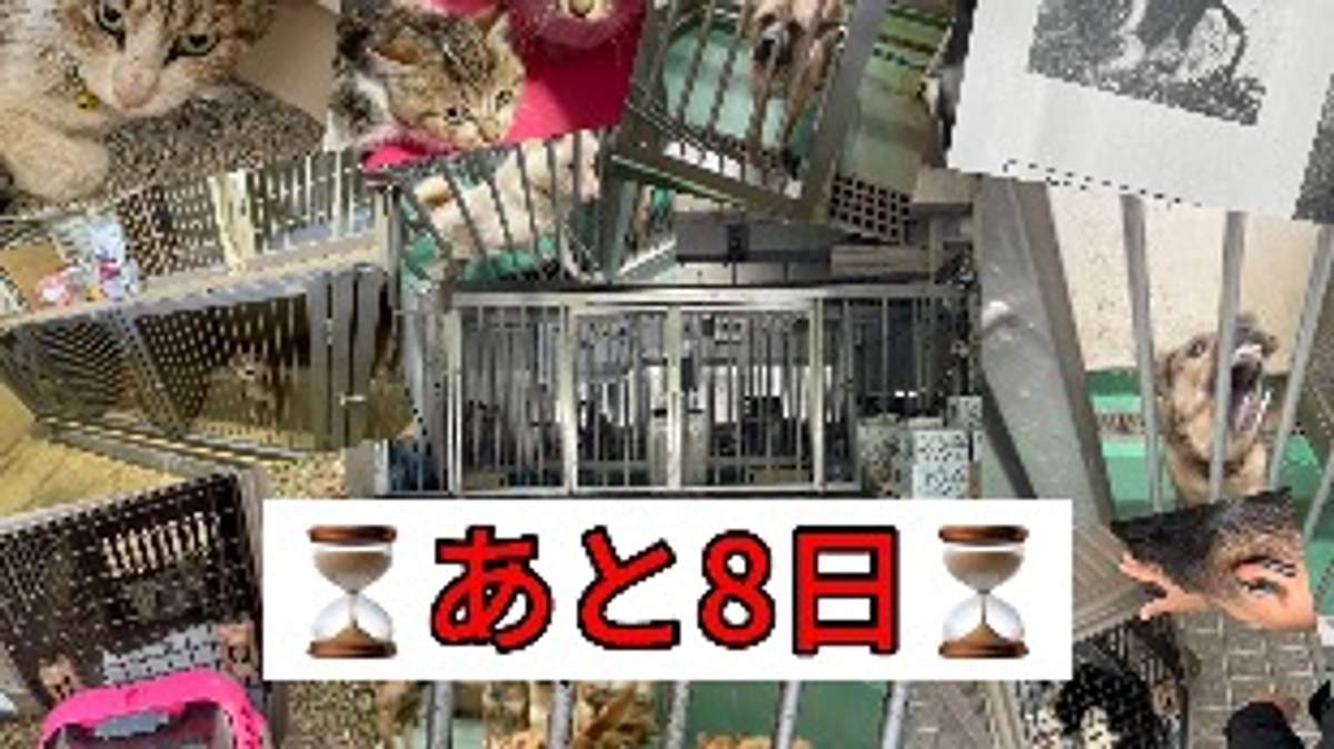 命を繋げる場所へ