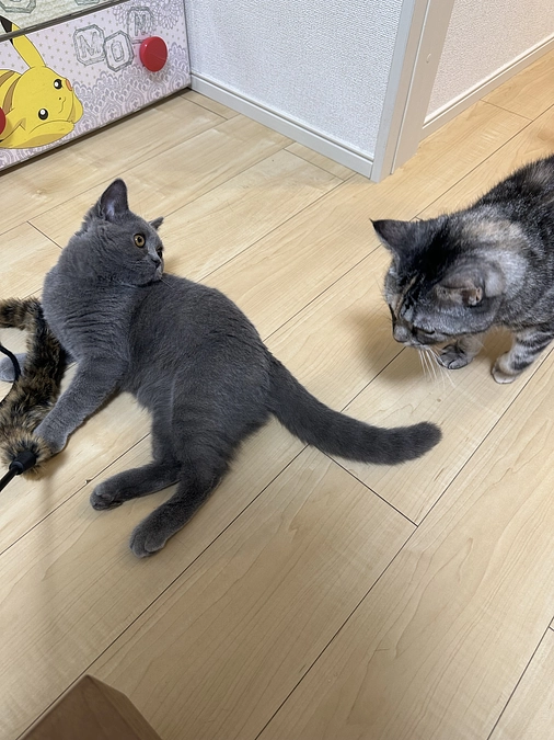 投薬治療を始めて53日目