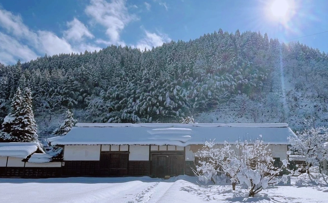 大きな声で応援！コース