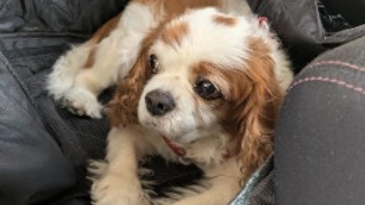 9ヶ月検診です🏥