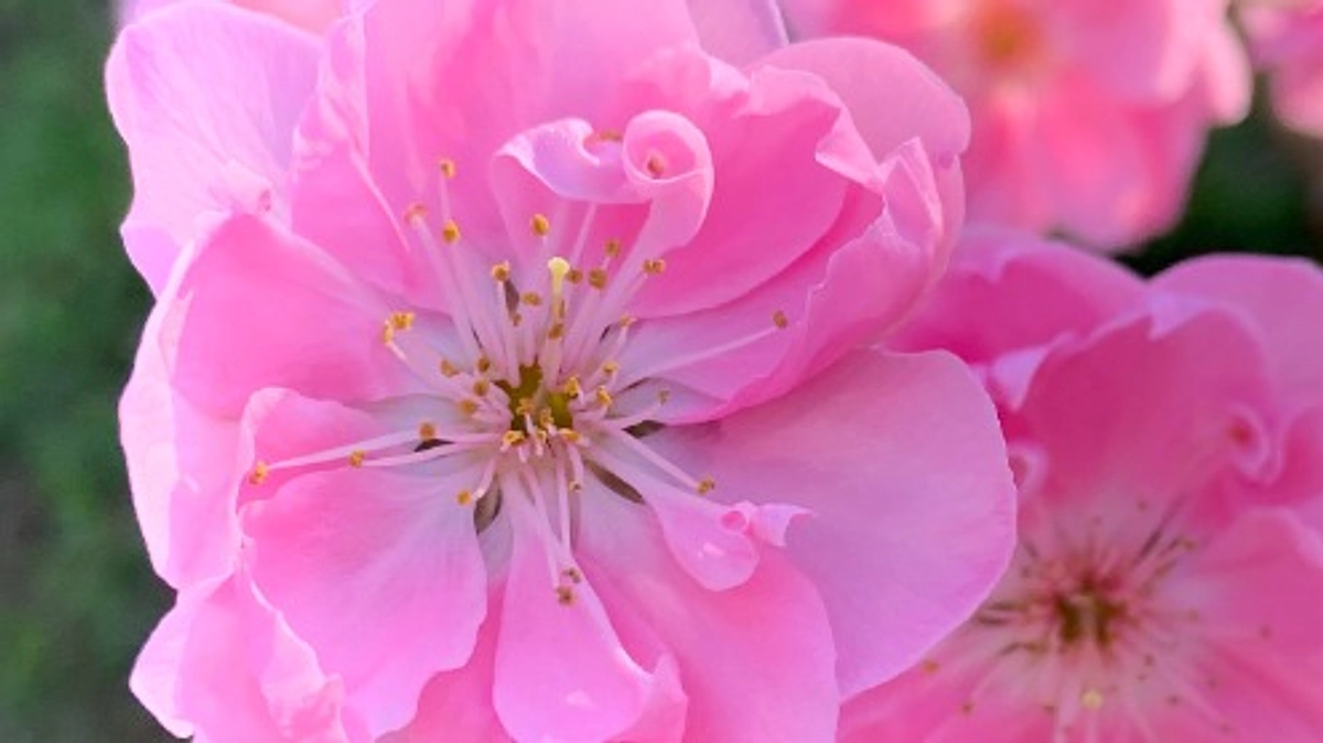 クラウドファンディング8日目、約60％達成のご報告