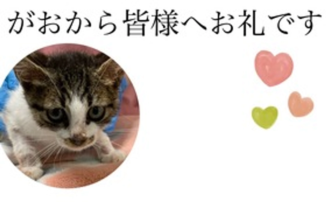 がお支援(2)(リターンなし)