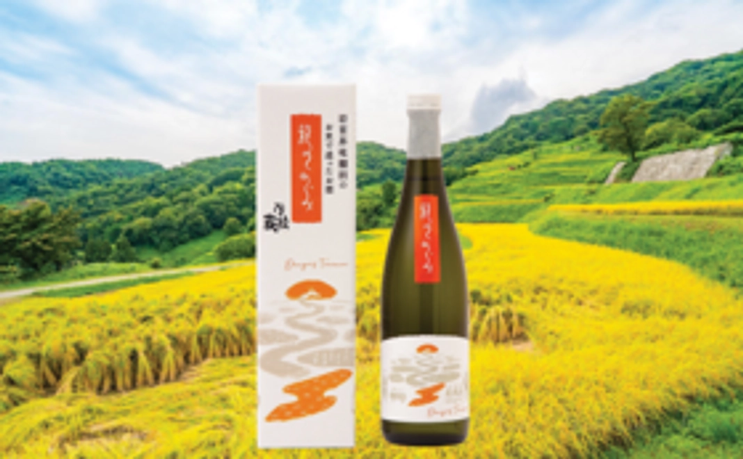 【「龍のめぐみ」を味わう】