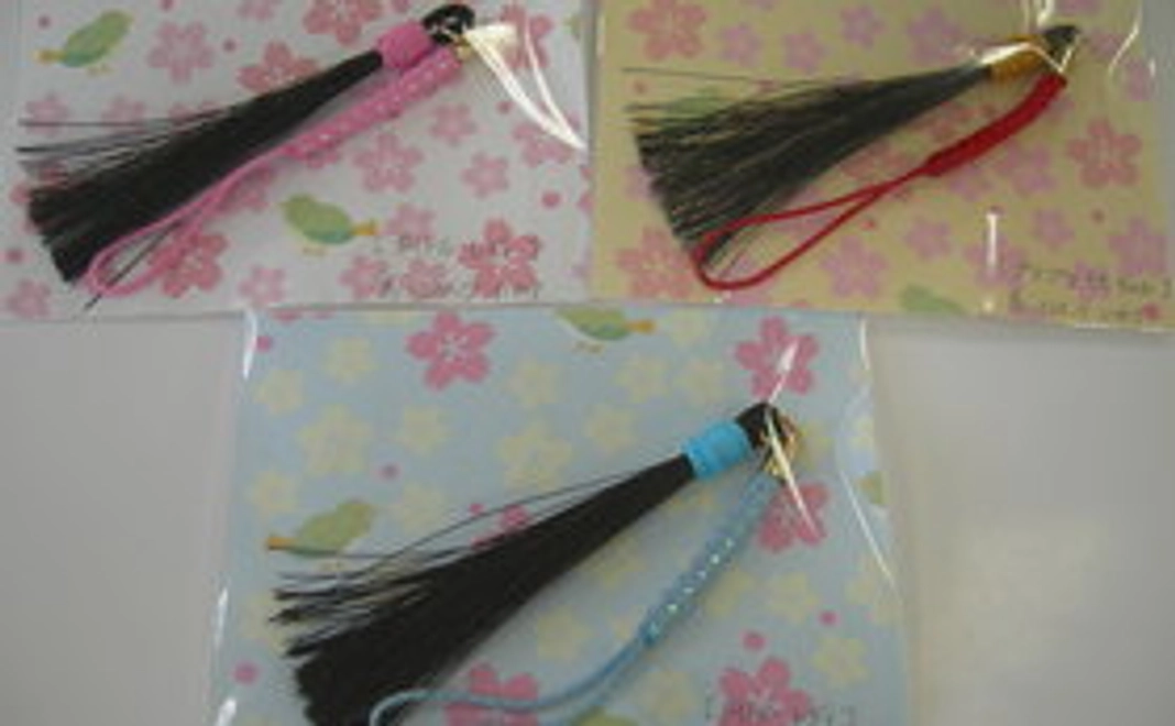 ポニーに会いに行こう