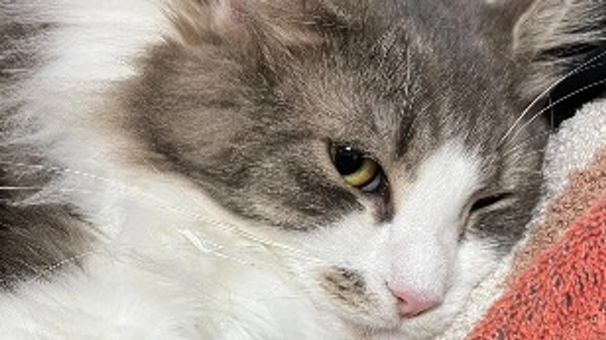 経過観察③クラファン終了まで残り14日⚠️💦