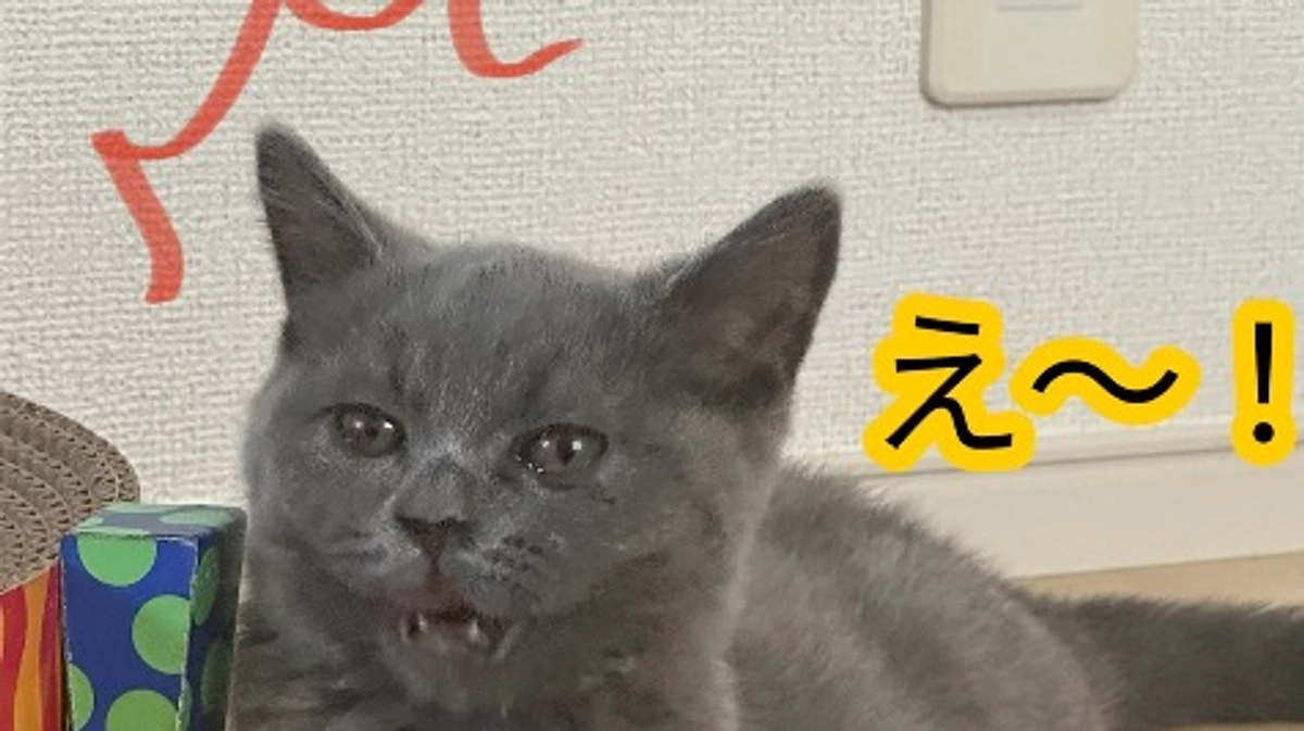 経過報告と薬の変更