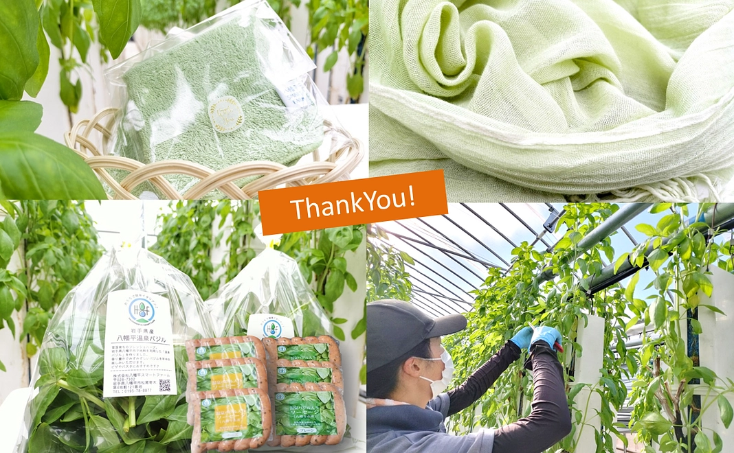 【八幡平スマートファーム産】温泉バジルセット～スペシャル～コース