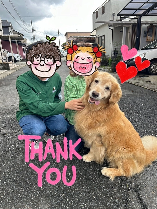 【６５０万到達次のステージ挑戦】ゴールデンちゃん第三の犬生スタート♡