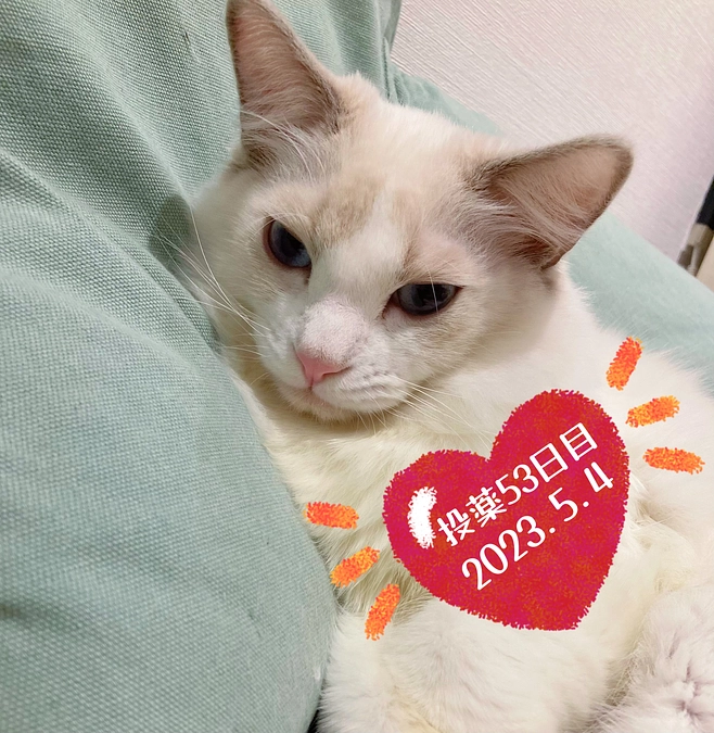 投薬５３日目(2023.5.4)&ご支援のお知らせ