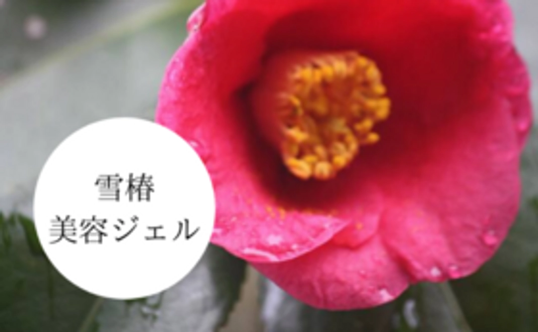 雪椿美容ジェルコース