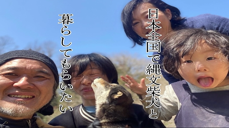 人を守る縄文柴犬、未来へ繋ぎたい! 2枚目