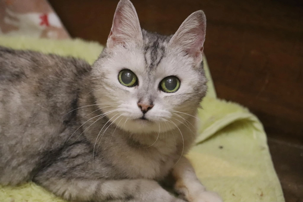 カフェの最年長21歳キャシーです