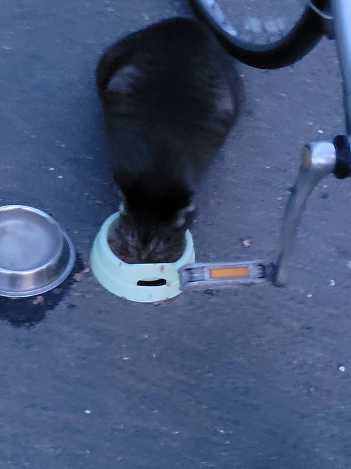 クラウドファンディング達成御礼😻