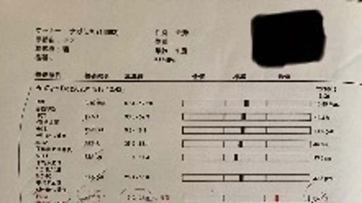 11/13の検査結果について